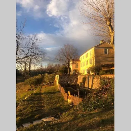 Bastide Au Milieu Des Vignes Et Des Oliviers Aups