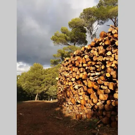 Bastide Au Milieu Des Vignes Et Des Oliviers Holiday home