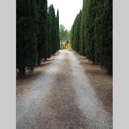 Bastide Au Milieu Des Vignes Et Des Oliviers Aups