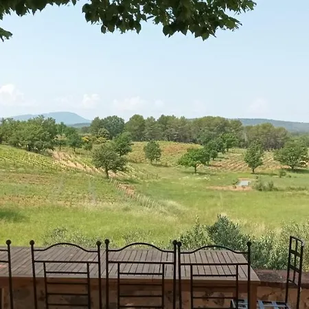 Holiday home Bastide Au Milieu Des Vignes Et Des Oliviers Aups